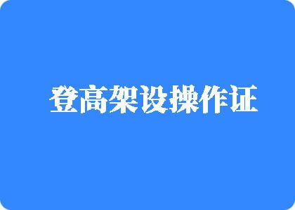 大鸡巴日小逼视频免费看登高架设操作证