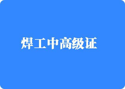 男生和女人日逼视频焊工中高级证