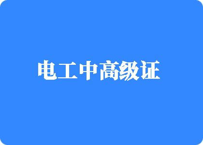 东南泥亚操逼电工中高级证